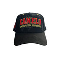 Dandy X Canelo